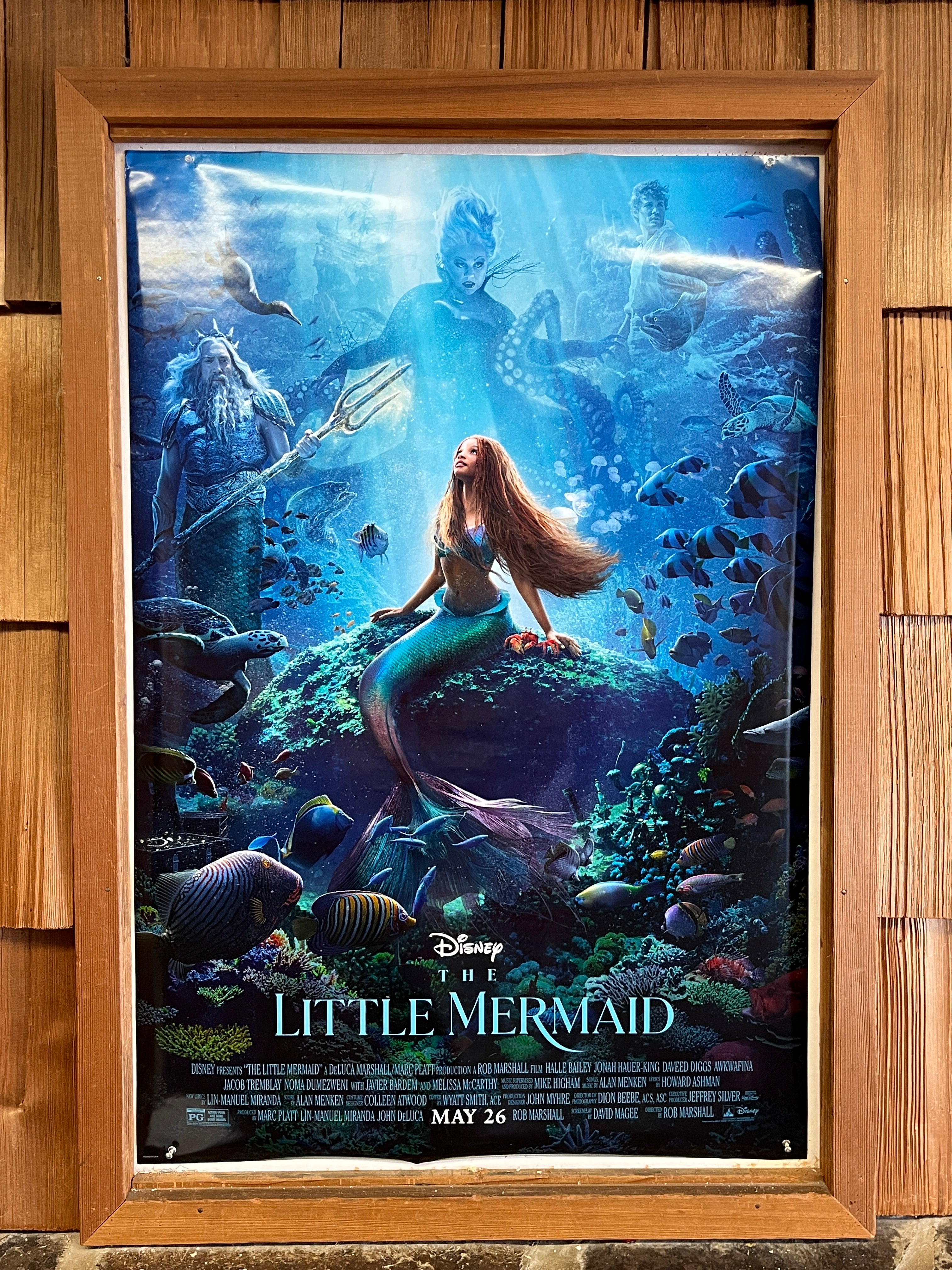 Unique The Little Mermaid 2023 Poster, Disney Gifts For Adults